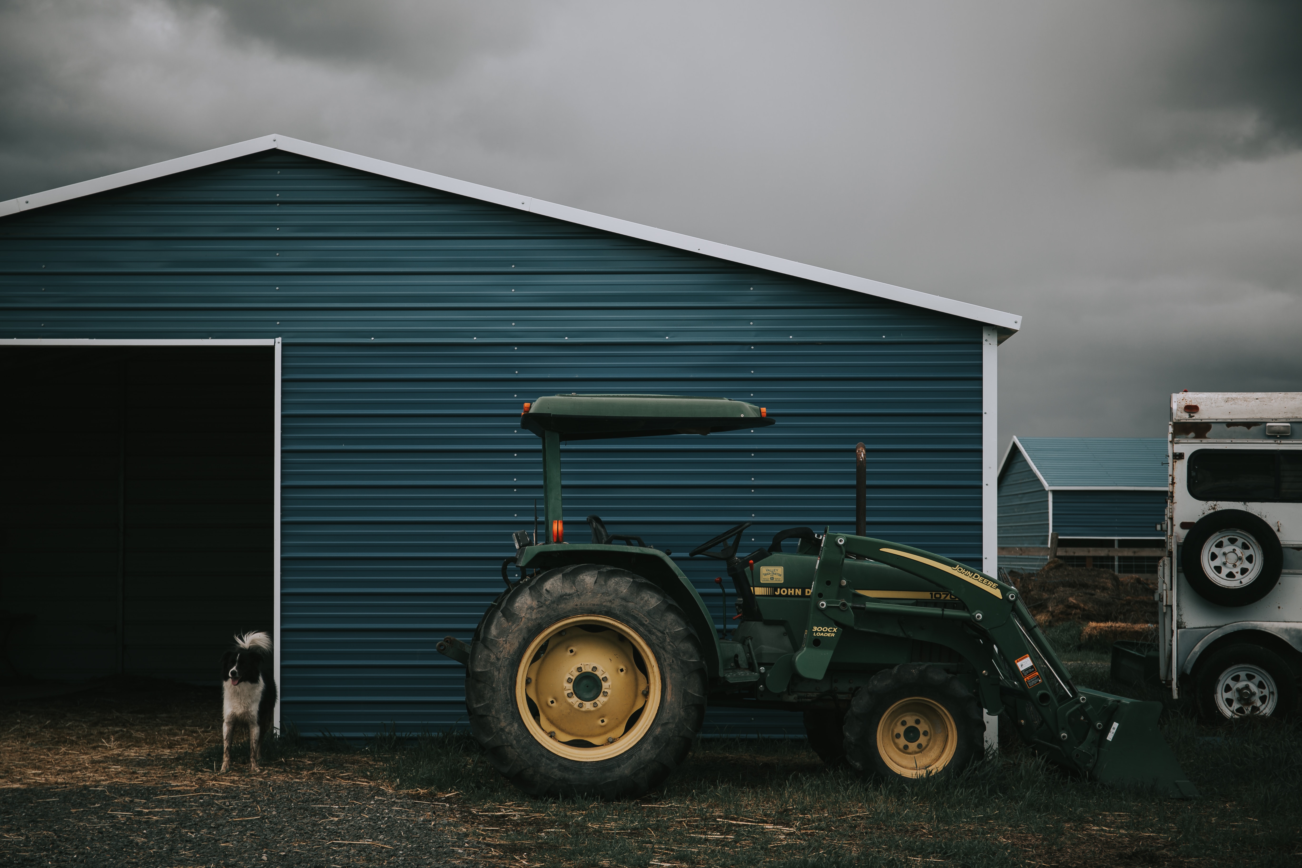 backyard shed